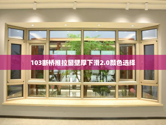 103断桥推拉窗壁厚下滑2.0颜色选择